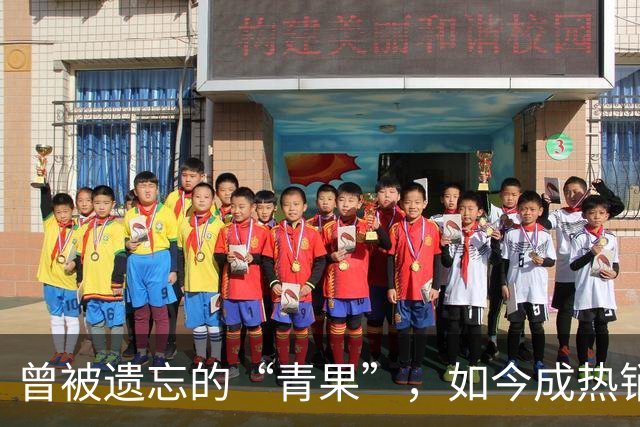 曾被遗忘的“青果”，如今成热销宝藏，富含多种营养价值